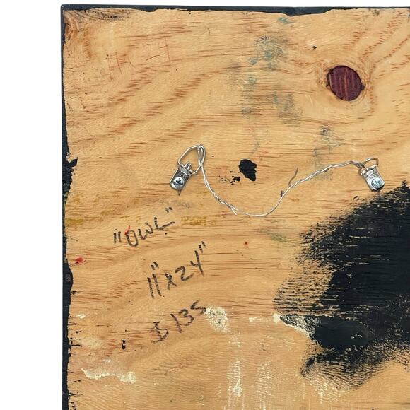 John Sperry Outsider Southern Folk Art “Owl” Painting 24” X 11” - Picture 6 of 6